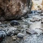 Reyes Apartmán *